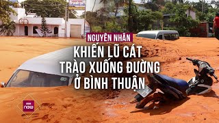 Góc nhìn khác về hiện tượng lũ cát ầm ập đổ xuống Bình Thuận, vùi nhiều ô tô, xe máy | VTC Now