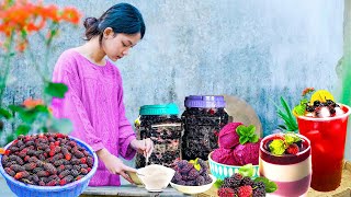 Download Lagu Harvesting Mulberries – Sell at the Market – Cooking Fresh Desserts! | Lam Anh New Life MP3 Download Lagu Harvesting Mulberries – Sell at the Market – Cooking Fresh Desserts! | Lam Anh New Life MP3