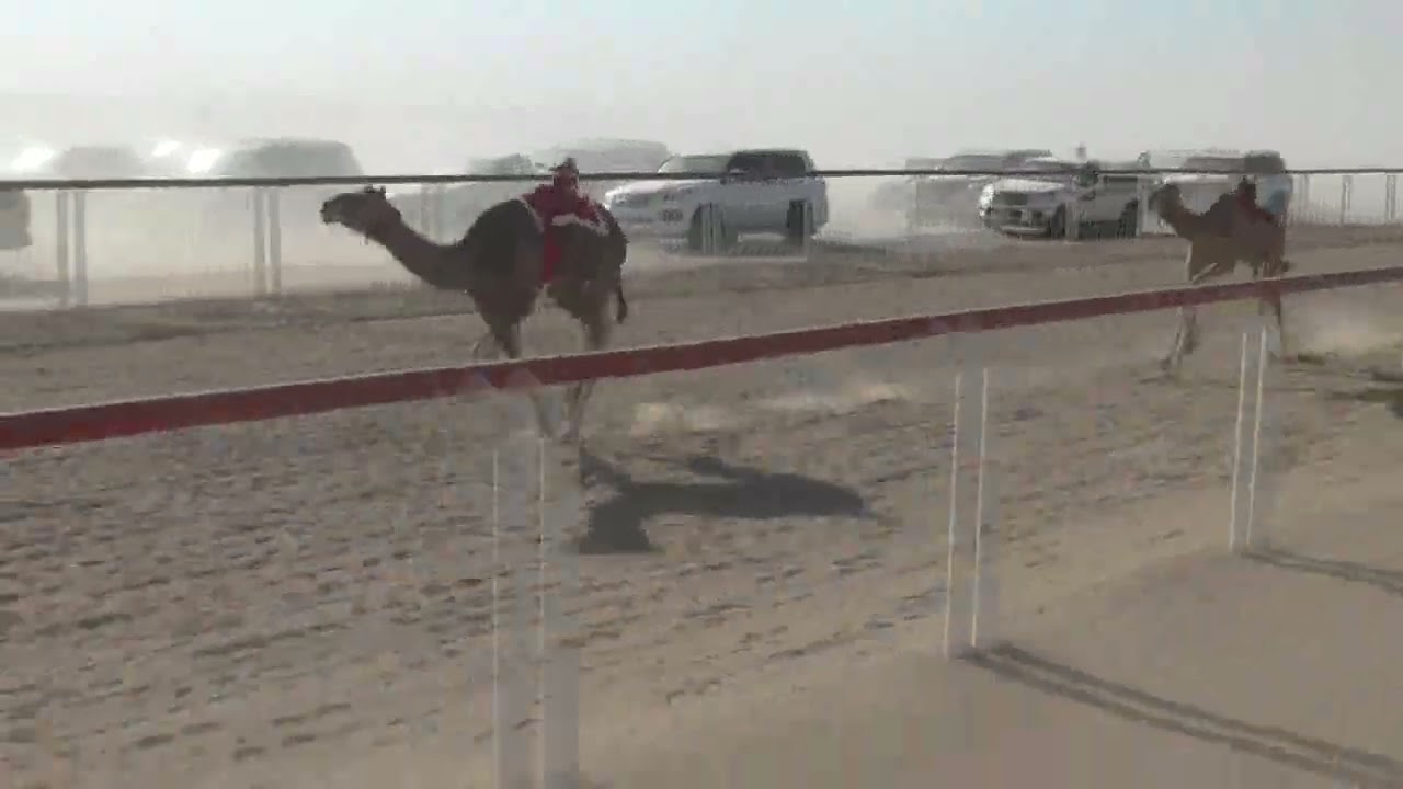 طله ل حثيث بن منجاش الحرسوسي