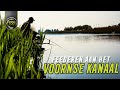 Feederen aan het voornse kanaal