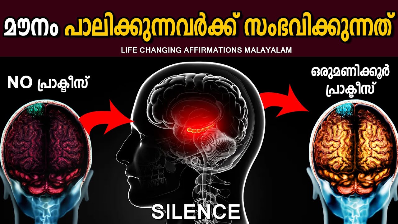വെറുതെയല്ല മഹാന്മാർ മൗനം ശീലിച്ചത്  - HOW SILENCE AFFECTS ON BRAIN - LIFE CHANGING