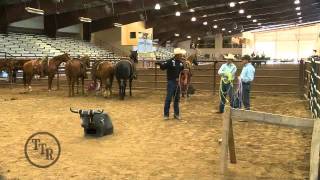 Total Team Roping Sampler 8/8/2011