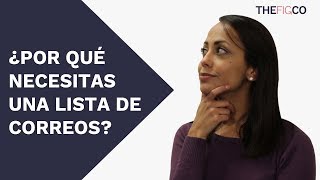 Lista De Email  Por Qué Necesitas Crear Tu Lista de Correos