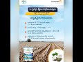 Collaboration  coromandel specialty nutrients and bayer crop science telugu