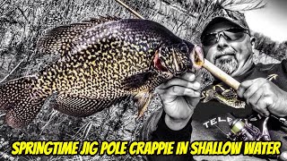 SPRINGTIME JIG POLE CRAPPIE IN SHALLOW WATER- How to catch them! by ExtremeAngler & Crappie Machine 3,082 views 1 month ago 13 minutes, 3 seconds