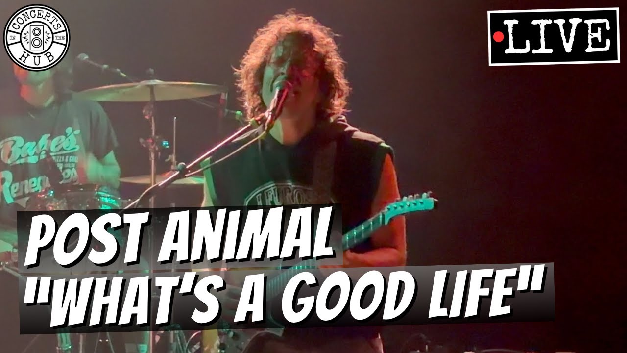 Post Animal "What's a Good Life" LIVE