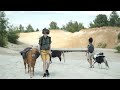 Nature’s Envoys | Official Book Trailer | 2024