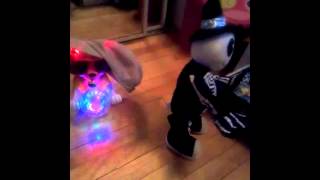 Boo Like Jagger And Naughty Animal