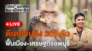 ดีเดย์จับลิงลพบุรี 300 ตัว | 24 พ.ค.67