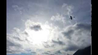 Flite Test Simple Soarer Soaring