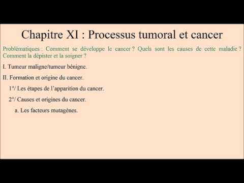 Vidéo: Le Rôle De L'autophagie Induite Par Le Microenvironnement Tumoral Dans Différentes Cellules Et Stades Du Cancer