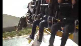 Flip Flop, Flamingoland