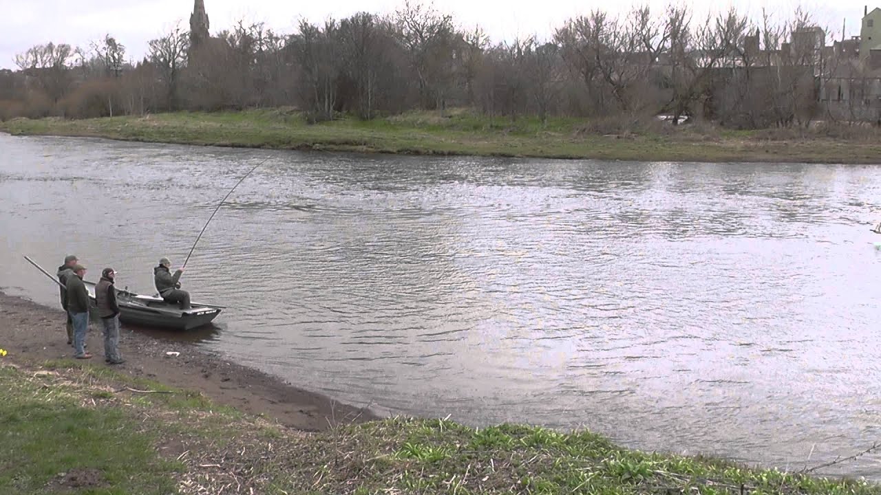 The Junction, Kelso.