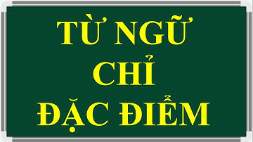TỪ NGỮ CHỈ ĐẶC ĐIỂM LÀ GÌ?
