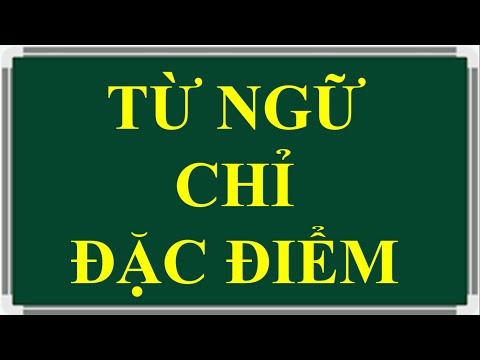 Video: Đặc điểm nào sau đây là đặc điểm của tất cả các cây có hạt?