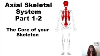 Chapter Seven Part 1 -2 The Axial Skeleton