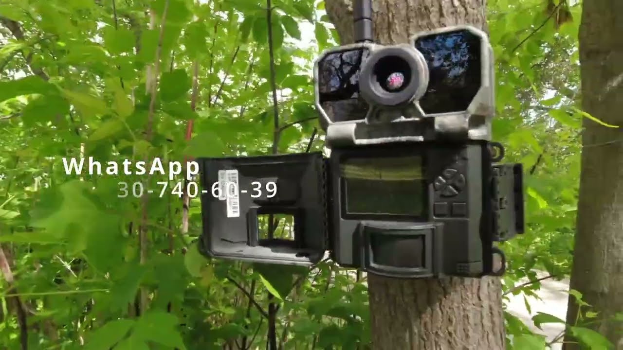 Лучшая фотоловушка за все время KeepGuard KG895 | Самая быстрая фотоловушка