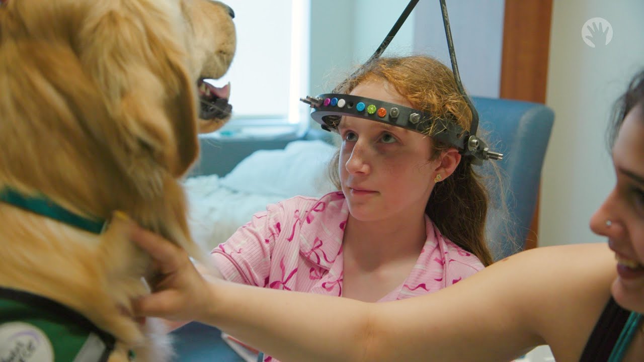 Meet Hawk, Lurie Children's Facility Dog - YouTube