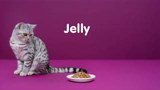 Whiskas Adult Jelly
