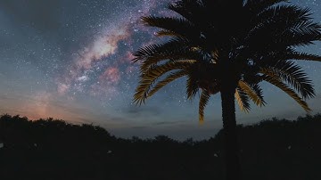 سورة الرحمن بصوت القارئ مصطفى شلحاوي