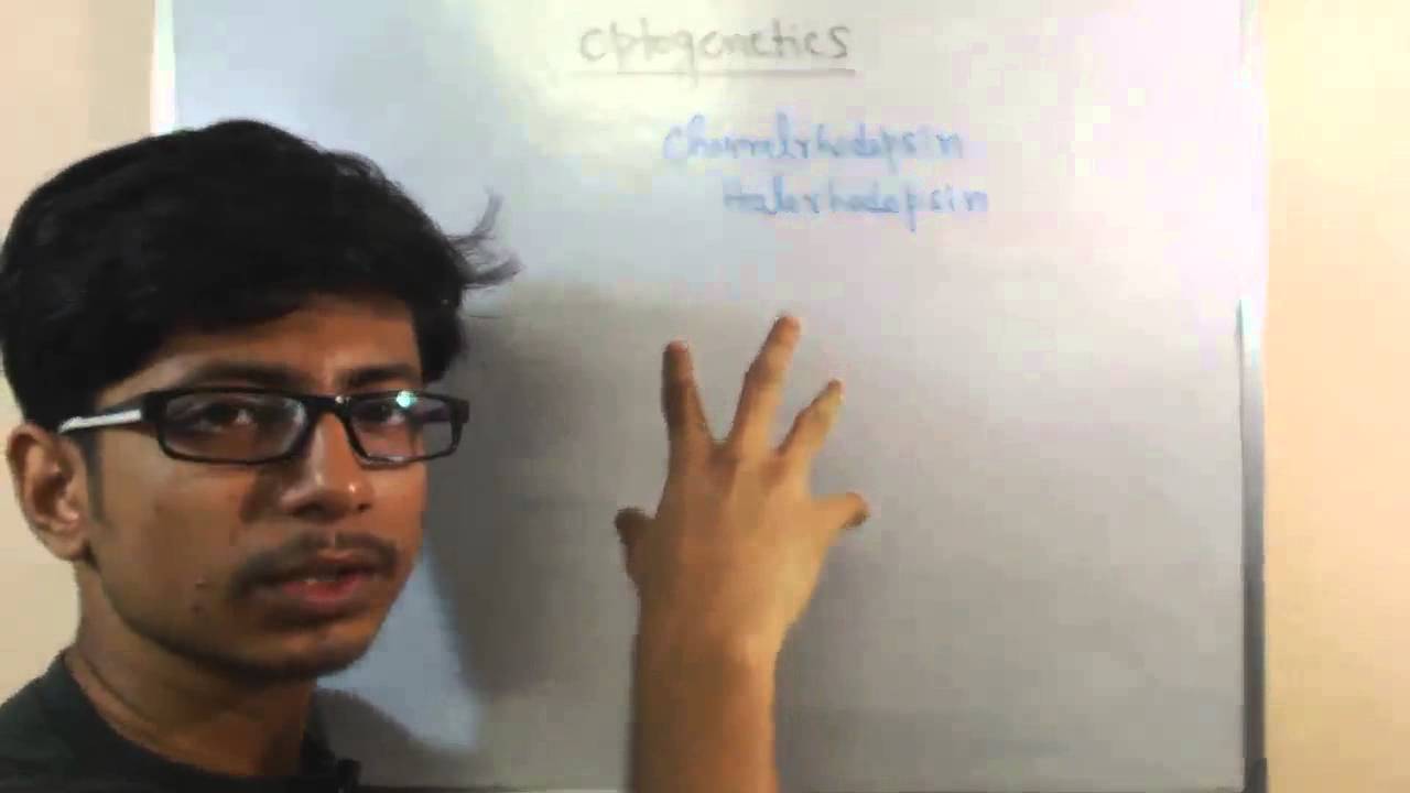 Optogenetics