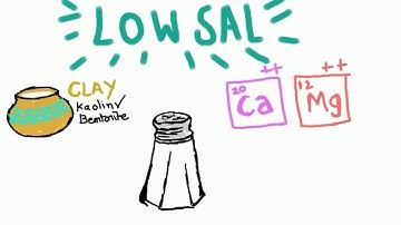 Low Salinity Water Injection
