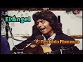 El ngel  l territorio flamenco documental