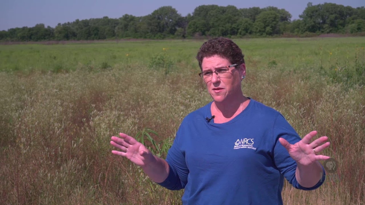 Iowa Wetlands Overview Iowa Land and Sky YouTube