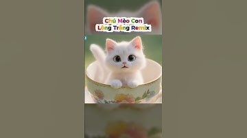 Chú mèo con lông trắng, nhạc thiếu nhi vui nhộn  #hakykids #nhacthieunhi #chumeoconlongtrang