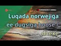 Luqada norwejiga ee dugsiga hoose / dhexe | Golearn