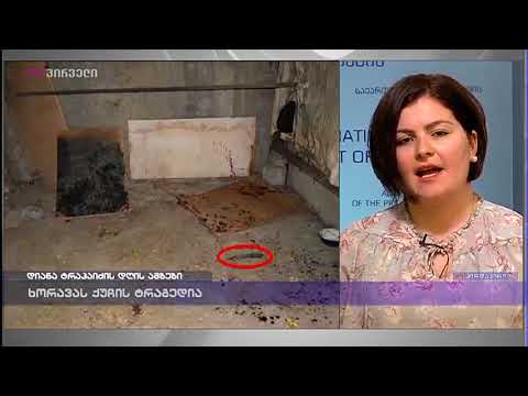 ანა ნაცვლიშვილი დიანა ტრაპაიძის დღის ამბებში