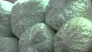 Eco-Friendly Packaging Peanuts for Going Green by AmpliVox Sound Systems