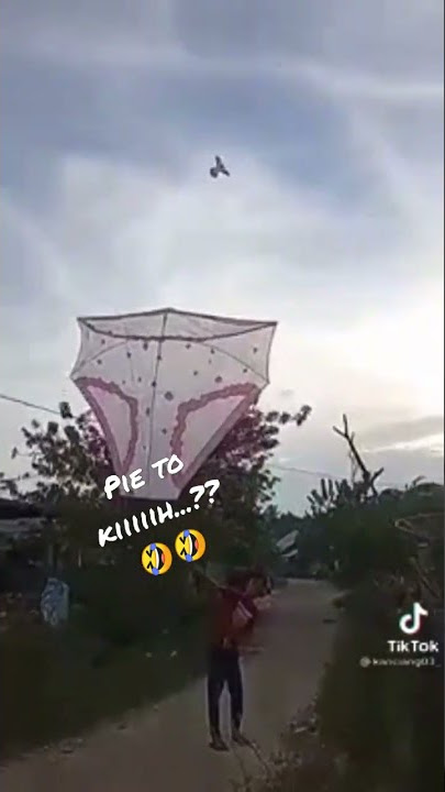 Pie to kiiiiih???