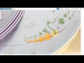 Visual Learning in Biology