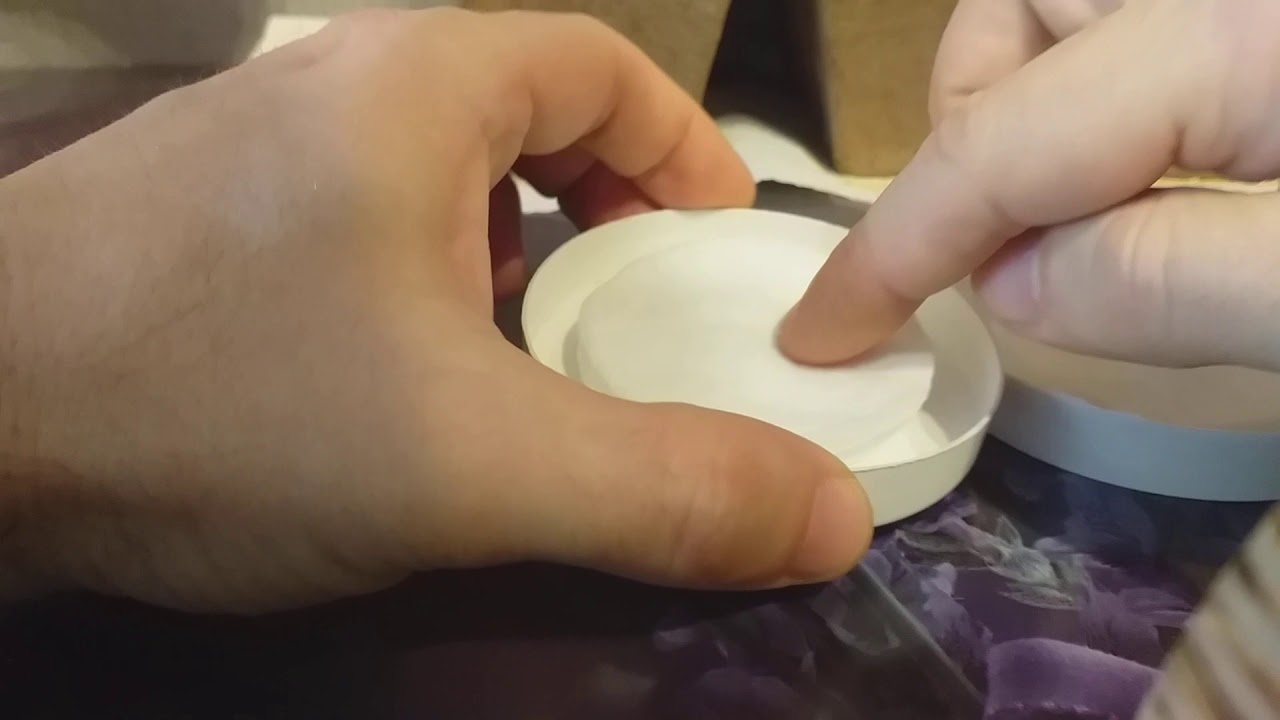 Проращивание семян Секвойи и Лиственницы в домашних условиях. часть 1 ...