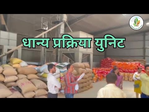 धान्य प्रक्रिया युनिट |जाणून घ्या अनुदानाची संपूर्ण माहिती| नानाजी देशमुख कृषी संजीवनी प्रकल्प Agri