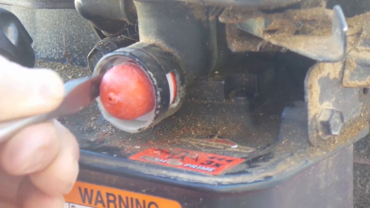 Partes De Un Guiro Para Cortar Pasto Official