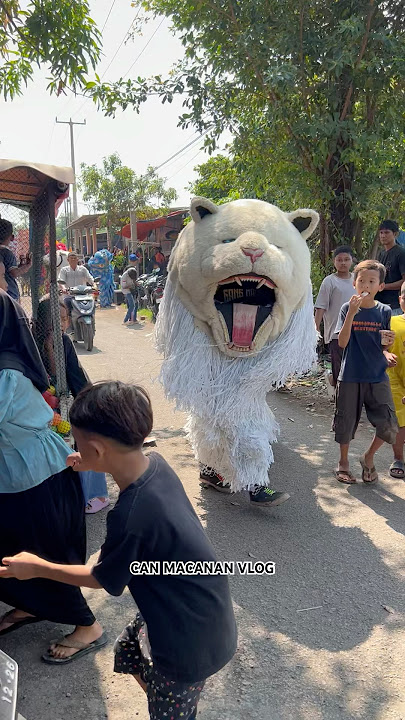 Detik detik bocil ff mau dimakan can macanan