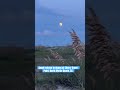 An #angel  #statue  was replaced at the point of #northmyrtlebeach  this week