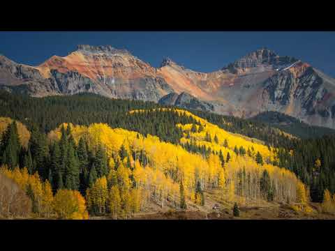 Fall Foliage 2020