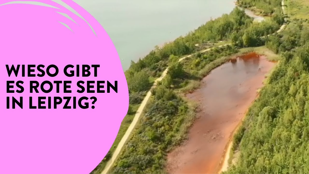 Der Störmthaler See - Ein Bergbau-Folgesee (Teil I) | School's out!? #38