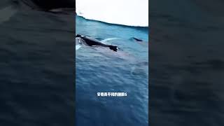 ?????????,??????????