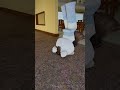 @Roby_ SI É VENDICATA SU HERO SU ROBLOX