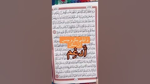 إدغام المتماثلين والمتجانسين #القرآن_الكريم #تجويد #احكام_التلاوة #سورة_البقرة #تصحيح_تلاوة