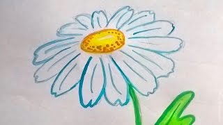 Как нарисовать ромашку акварелью Как нарисовать ромашку акварелью