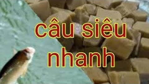 tuyệt chiêu câu cá bằng thuốc bắc , a quỳ mồi câu rất đỉnh - a quy mồi câu cá