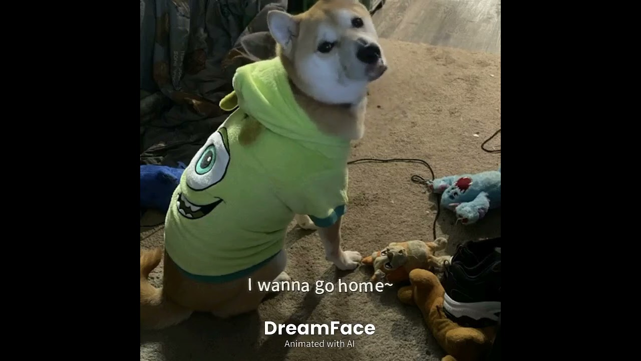 DreamFace amazing app love it 