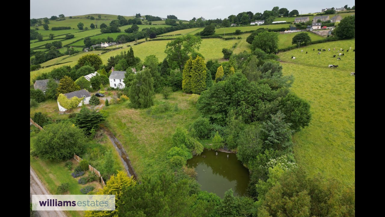 Pentre Derwen, Derwen