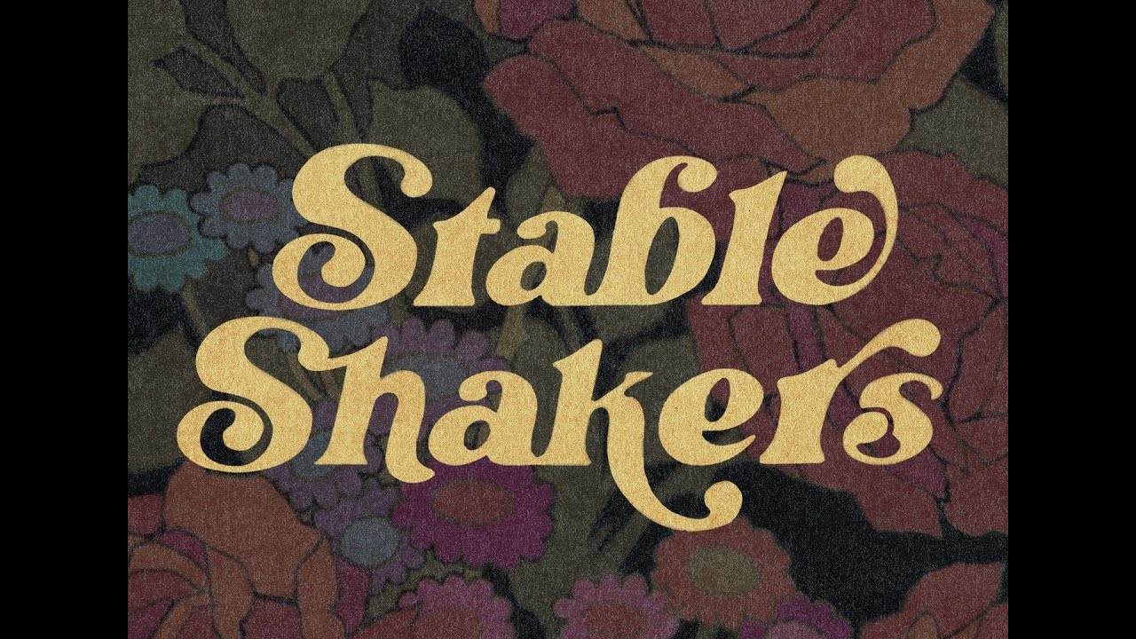 Stable Shakers - Subterranean Homesick Alien (Radiohead cover)