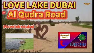 Meet KOI GEESE in a desert land Love Lake Dubai Tourist attraction